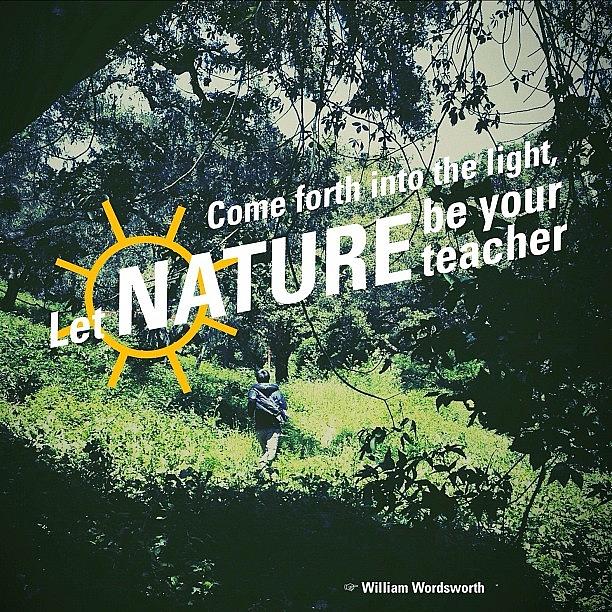 Nature Photograph - A Poster Made For The #con_love_earth by Kevin Mao