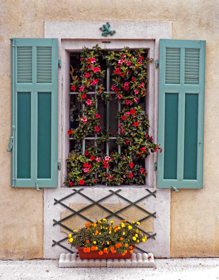 Flower Photograph - A Provence Window by Dave Mills