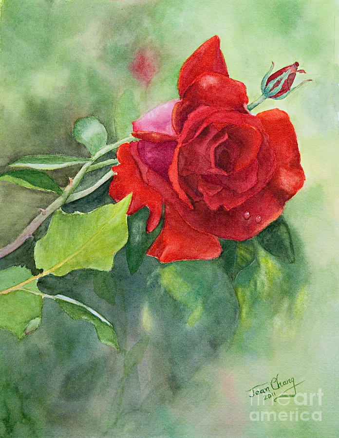 A Red Red Rose Painting by Jean A Chang