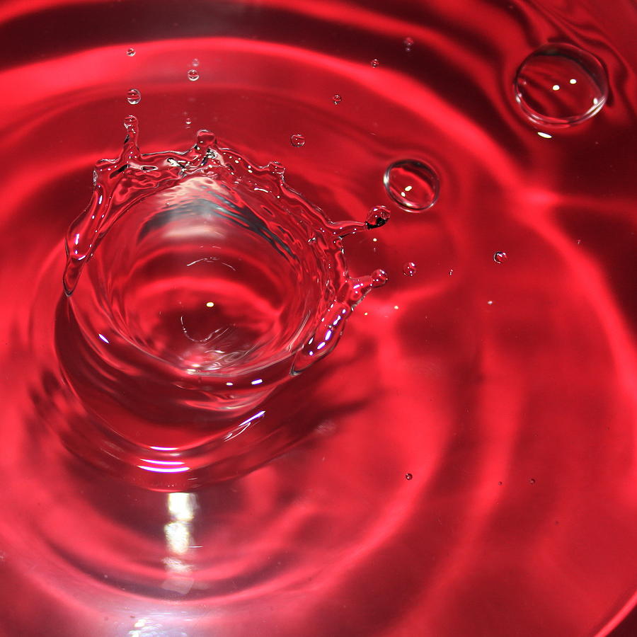 A Red Splash Of Water Photograph by Christy Patino