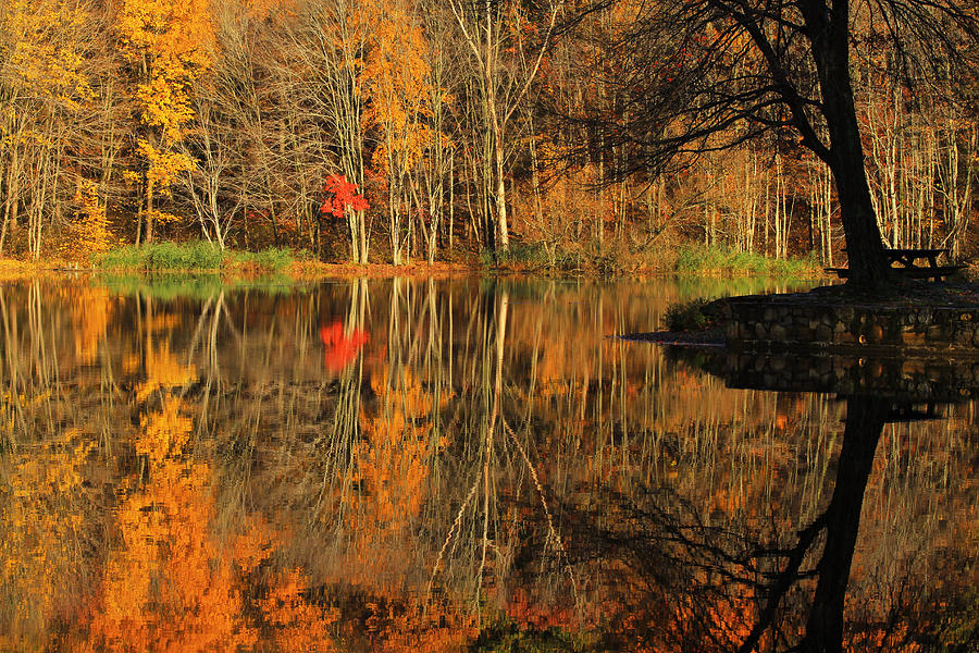 A Reflection of October Photograph by Karol Livote