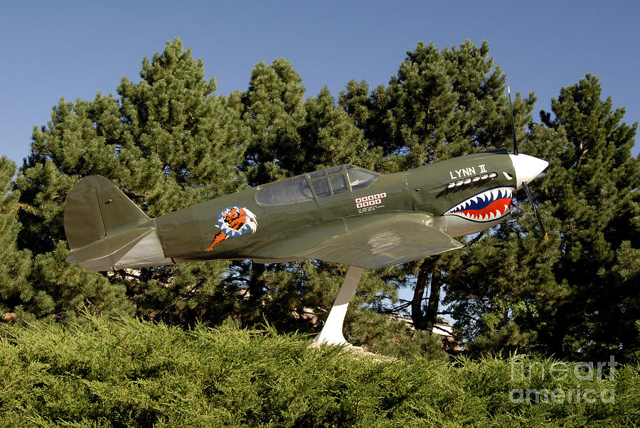 Tree Photograph - A Replica Of The Curtiss P-40e Warhawk by Stocktrek Images