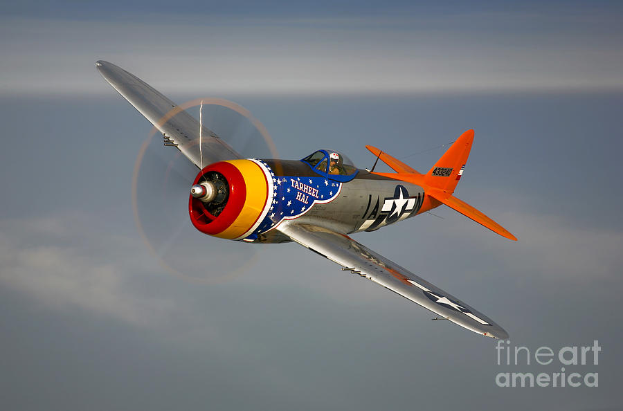 Transportation Photograph - A Republic P-47d Thunderbolt In Flight by Scott Germain