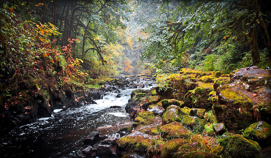A River Runs Through It Photograph by Steve McKinzie