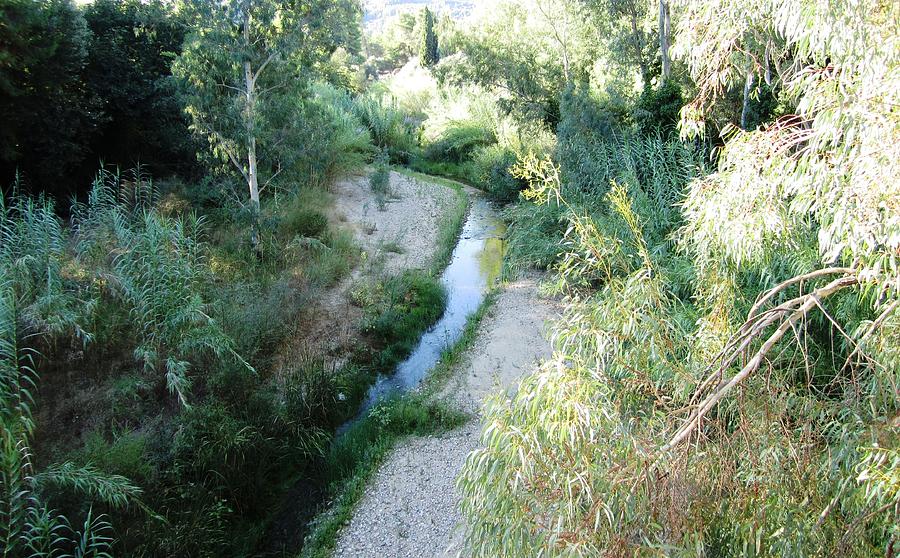 A River Runs Thru It in Olympia Greece Photograph by John Shiron