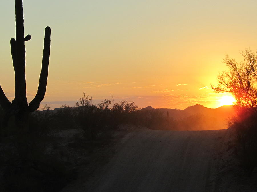 Desert Photograph - A Road to the Sun by Wendi Curtis