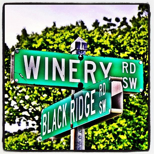 Wine Photograph - A Road Well Traveled 😄 #winery by Richard Randall