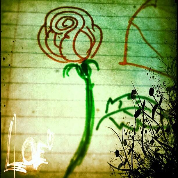 A Rose Drawn By My Wife Digitized By Photograph by Semil Shah