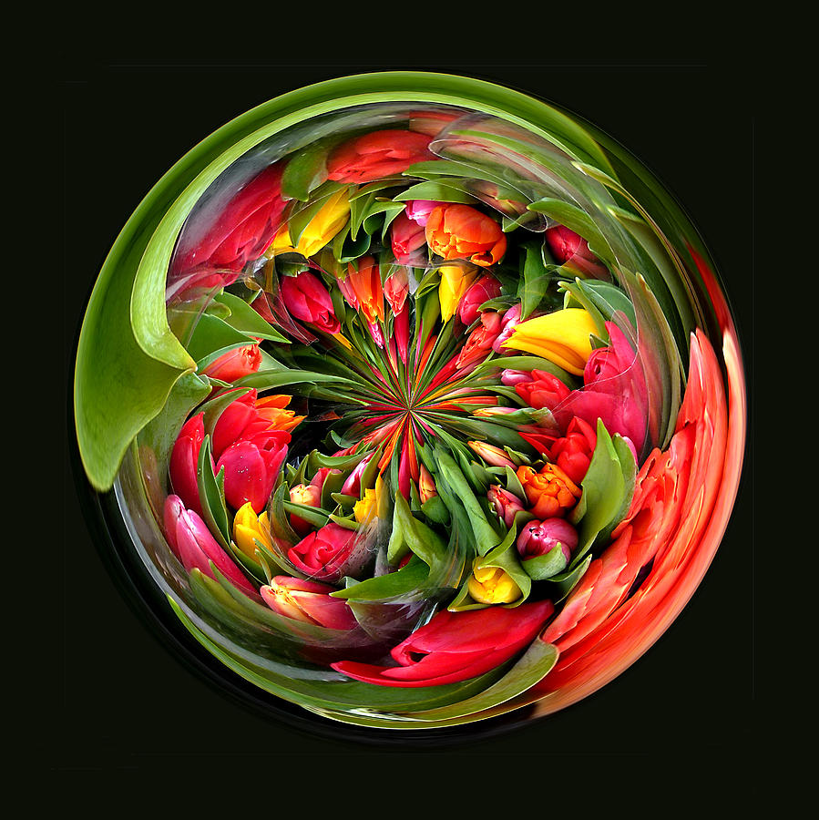 Tulip Digital Art - A round of tulips by Robert Gipson