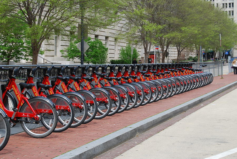 Bicycle Digital Art - A row of Red Bikes by Eva Kaufman