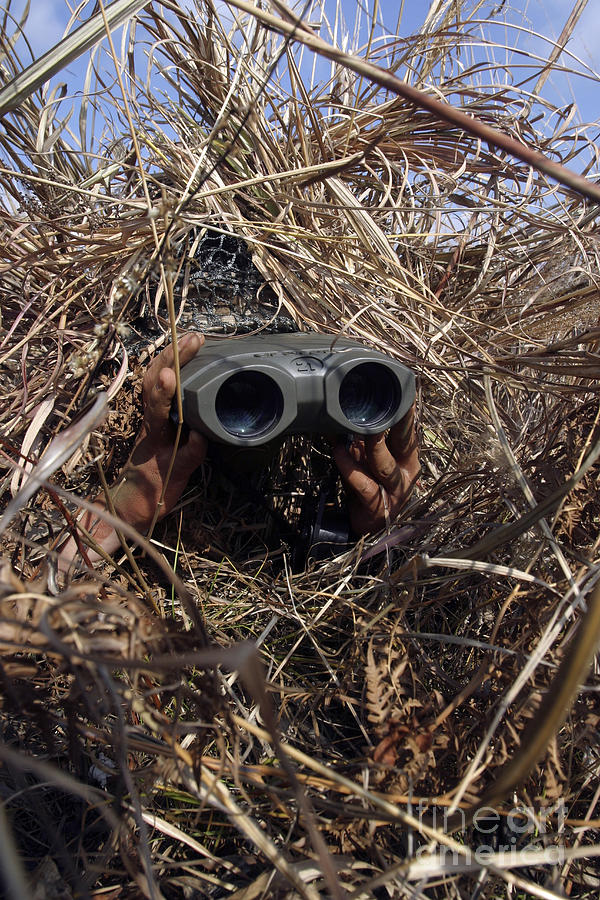 A Scout Observer Practices Observation Photograph