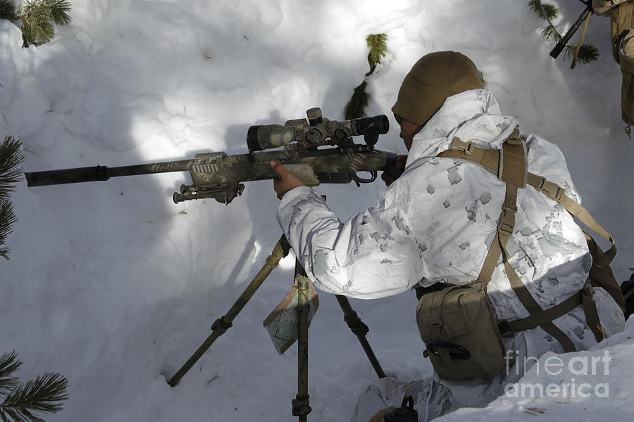 A Scout Sniper Prepares His Shot Photograph by Stocktrek Images