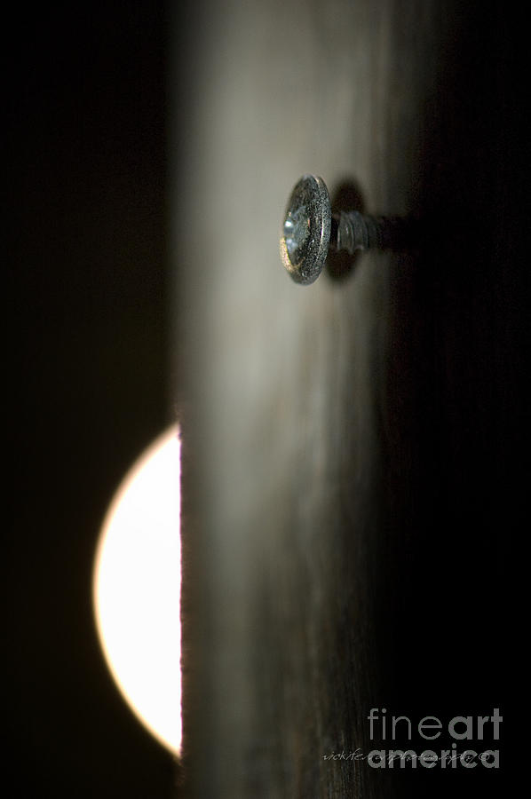 A Screw On A Pole By Moonlight  Photograph by Vicki Ferrari