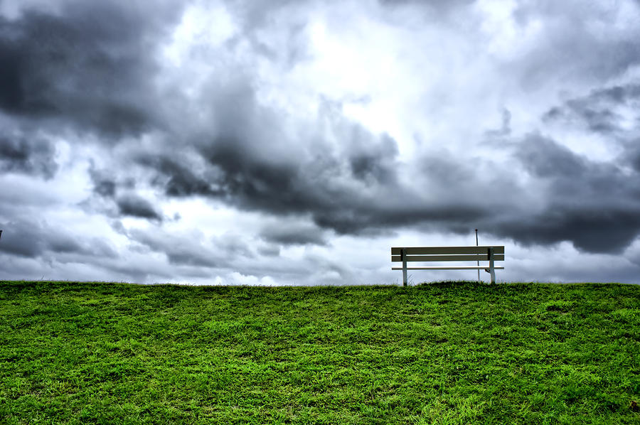 Summer Photograph - A Seat with a View by Edward Myers