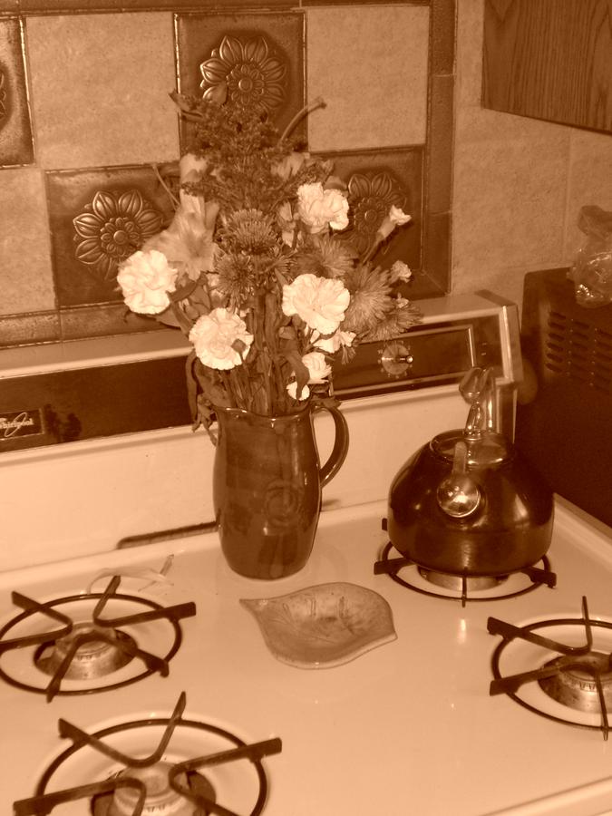 A Sepia Kitchen Photograph by Emery Graham