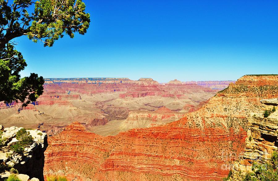 A Serene Grand Canyon View Photograph by George Sylvia - Fine Art America