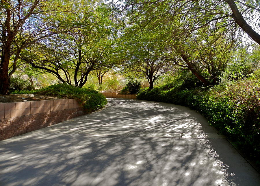 A Shadowed Drive in Palm Desert Photograph by Kirsten Giving