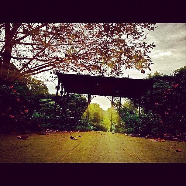 Fantastic Photograph - A Shelter In The Botanic Gardens by Szu Kiong Ting