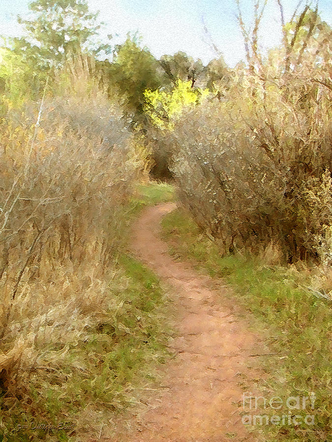 A Single Path Photograph