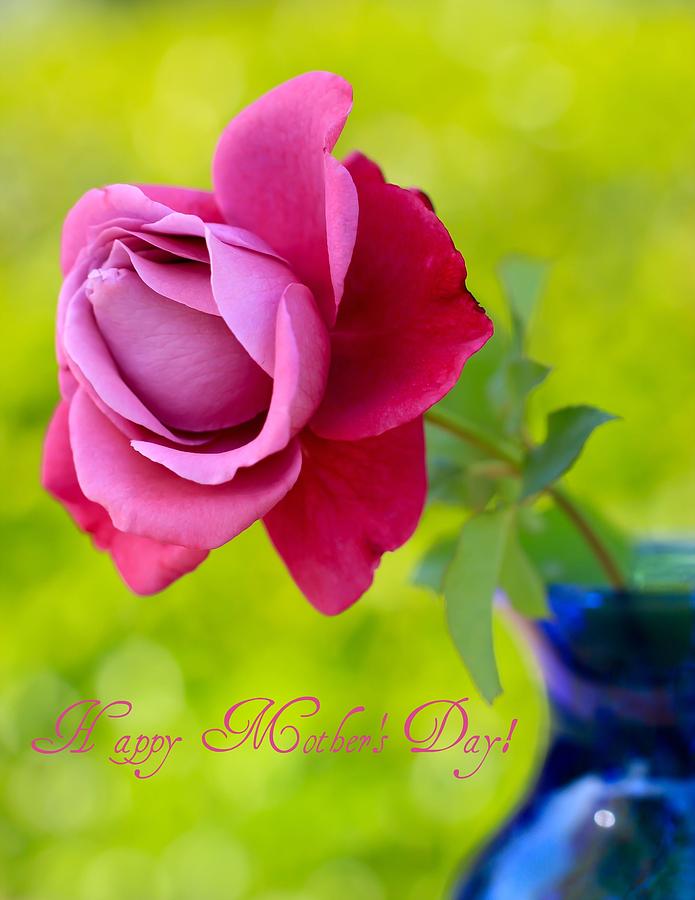 A Single Rose II Mothers Day Card Photograph by Heidi Smith