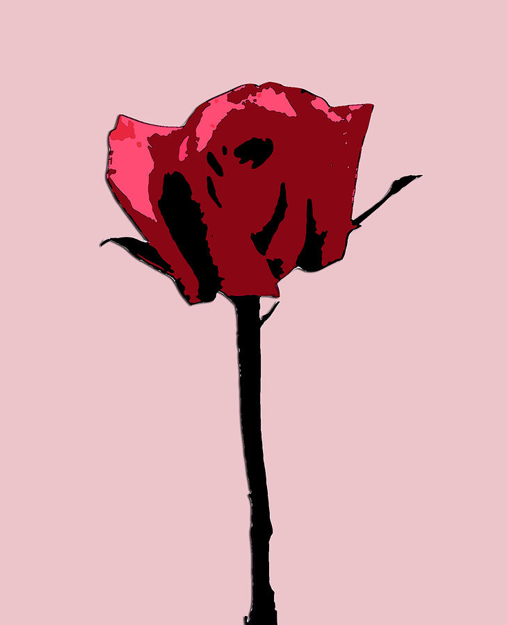 Rose Digital Art - A Single Rose by Karen Nicholson