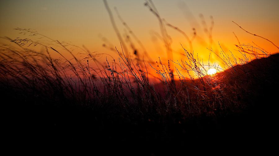 A Sitting Sun Photograph by Joseph Urbaszewski