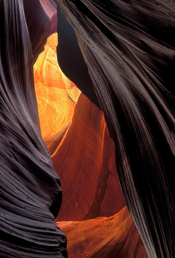 Antelope Canyon Photograph - A Slot Canyon View by Dave Mills