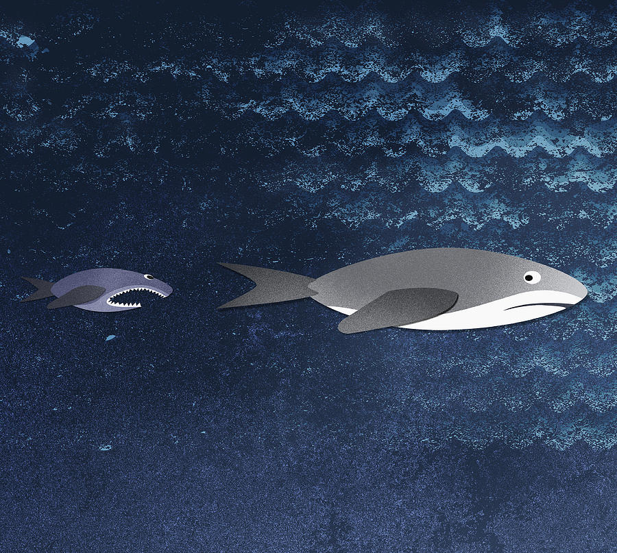 Sharks Digital Art - A Small Fish Chasing A Shark by Jutta Kuss