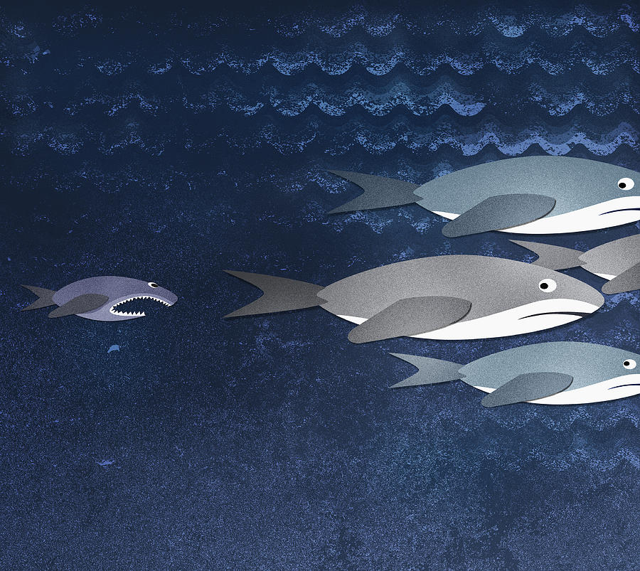 A Small Fish Chasing Three Sharks Digital Art by Jutta Kuss A Small Fish Chasing Three Sharks Digital Art by Jutta Kuss