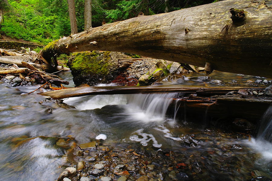 A Small Song  Of Ripple Under A Log Photograph by Jeff Swan