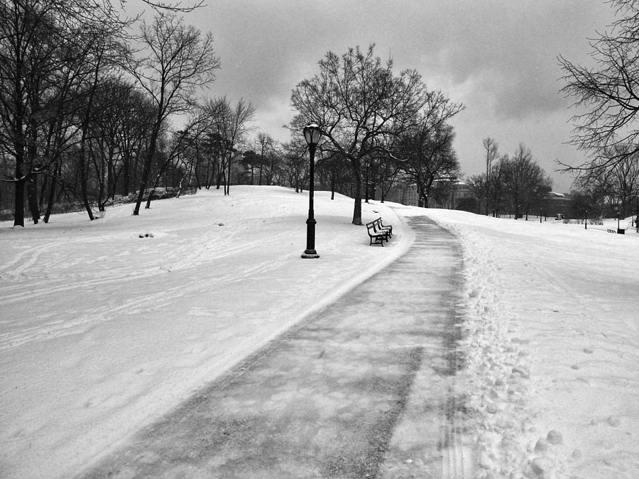 A Snowy Path in Central Park Photograph by Cornelis Verwaal