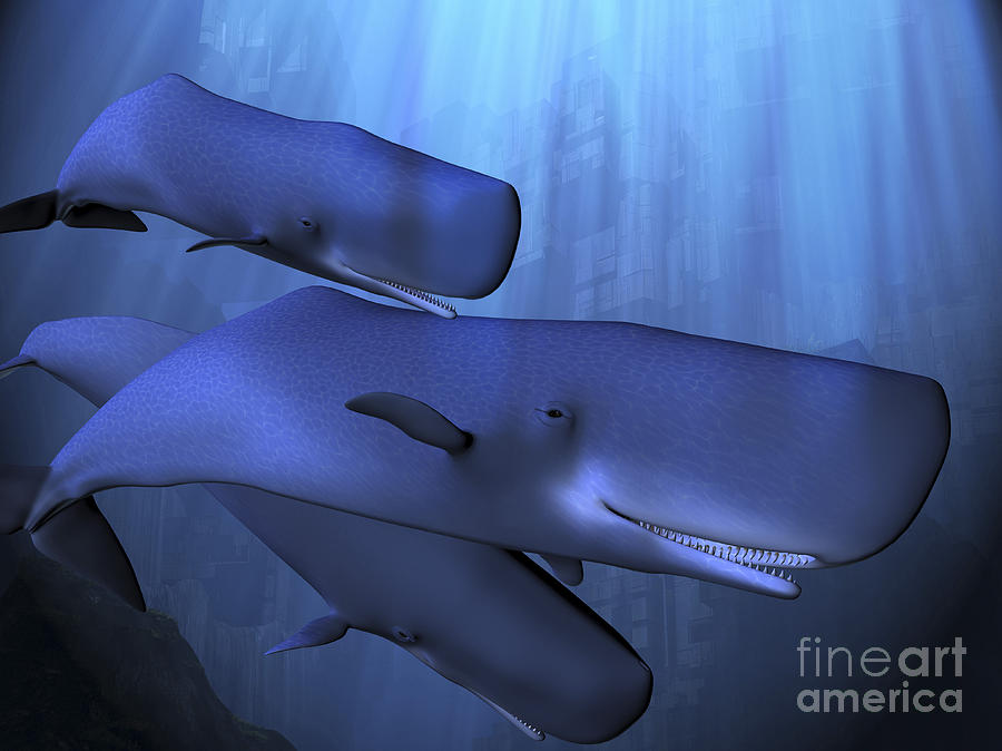 Whale Digital Art - A Sperm Whale Pod Descends by Corey Ford
