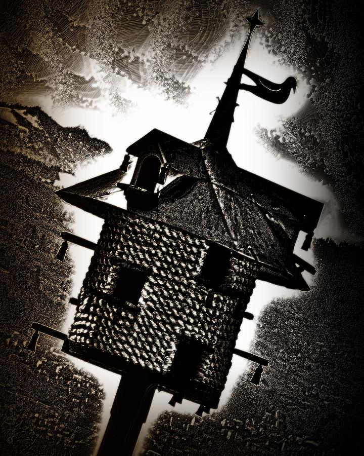 A Spooky Little Birdhouse Photograph by Mimulux Patricia No