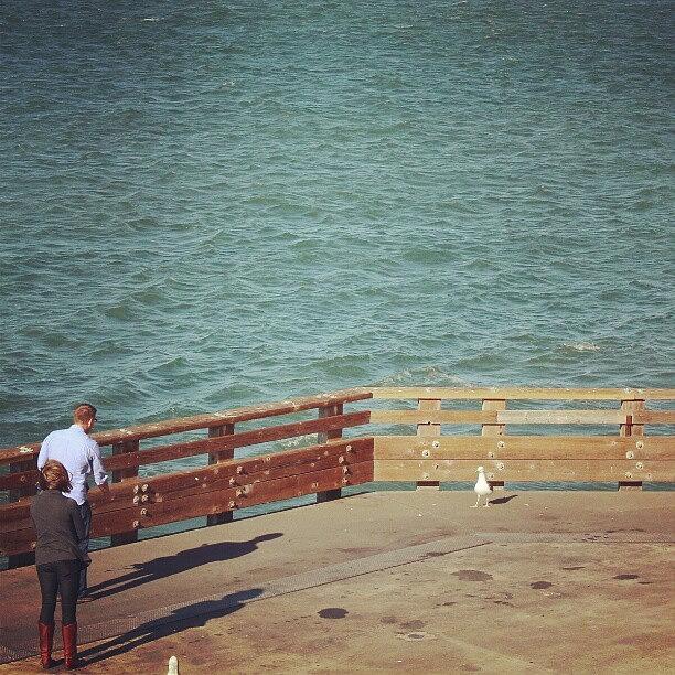 Igers Photograph - A Stand Off Between Man And Seagull by Saul Jesse Beas