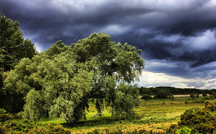 Landscape Photograph - A Suffolk Country Scene by Darren Burroughs