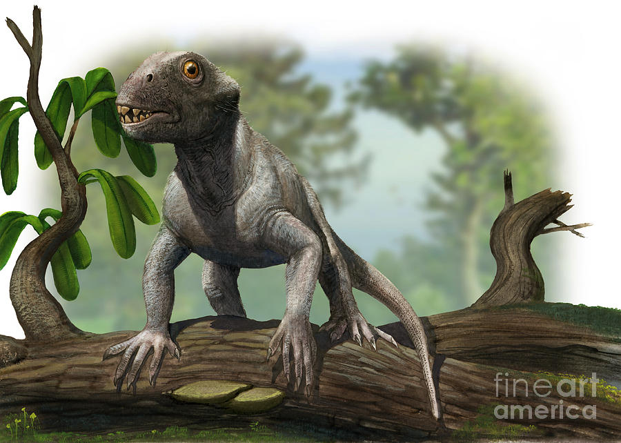 A Suminia Getmanovi In A Prehistoric Digital Art by Sergey Krasovskiy