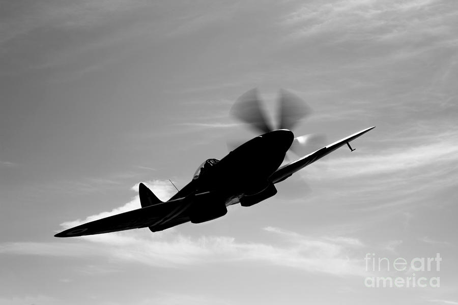 Black And White Photograph - A Supermarine Spitfire Mk-18 In Flight by Scott Germain