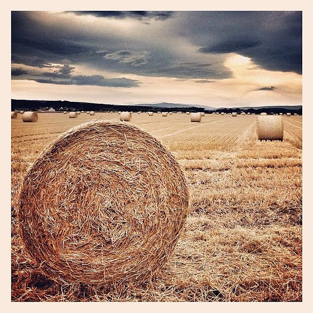 Nature Photograph - A Sure Sign Of Autumn! #autumn #hay by Robert Campbell