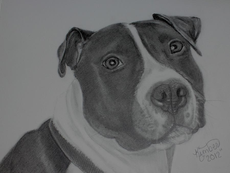 Dog Portrait Drawing - A sweet soul by Kimber  Butler