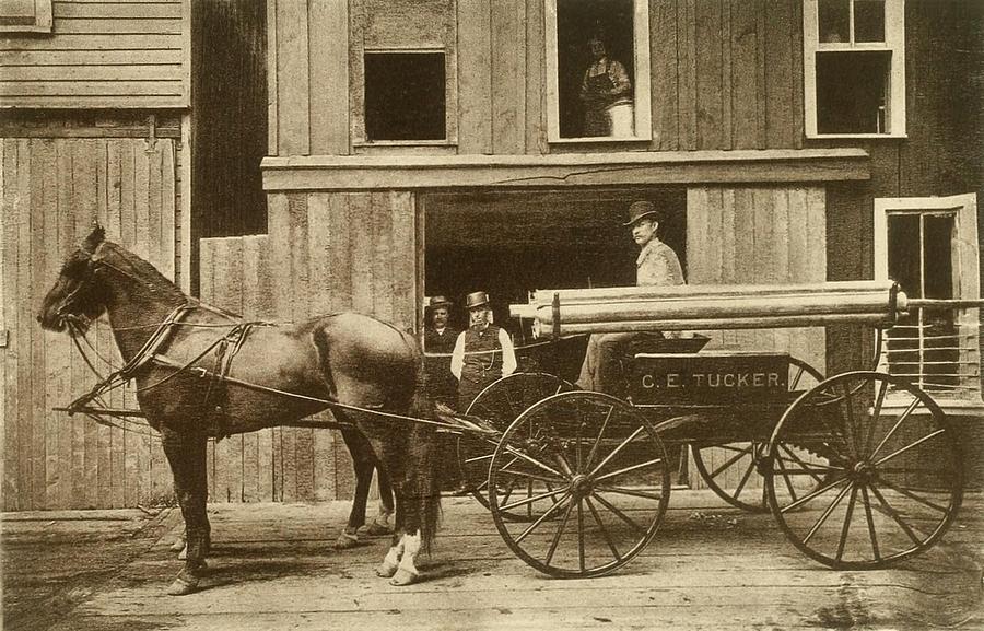 Horse Photograph - A Torpedo Wagon Loaded by Everett