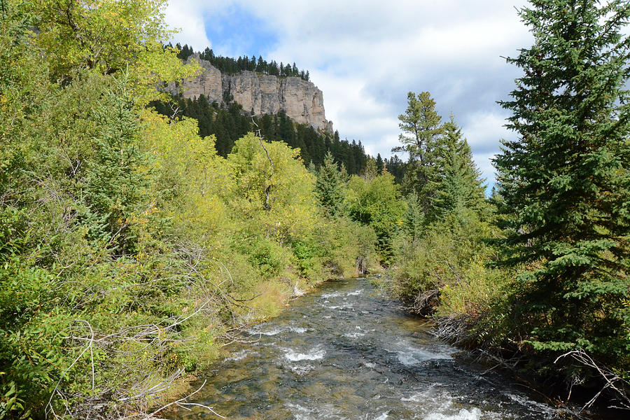 A Touch of Color along Spearfish Creek Photograph by Greni Graph