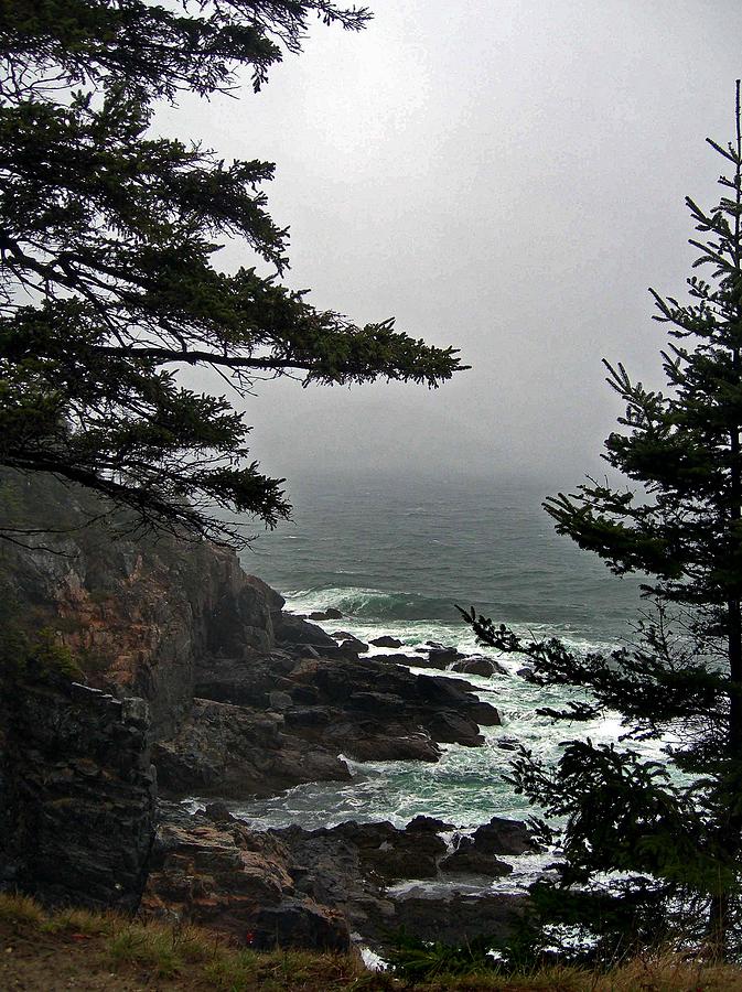 Acadia National Park Photograph - A Tricky Acadian Cove by Skip Willits