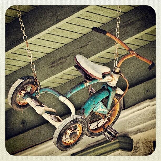 Arcadia Photograph - A Tricycle Hanging In Arcadia, Florida by Troy Thomas