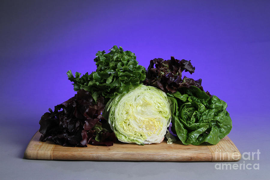 A Variety Of Lettuce Photograph by Photo Researchers, Inc.
