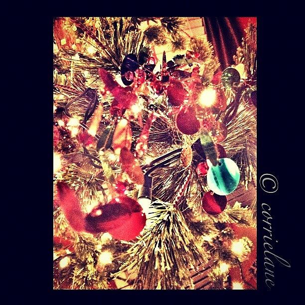 Christmas Photograph - A Very Blingy Christmas by Corrie Pannell Fleming