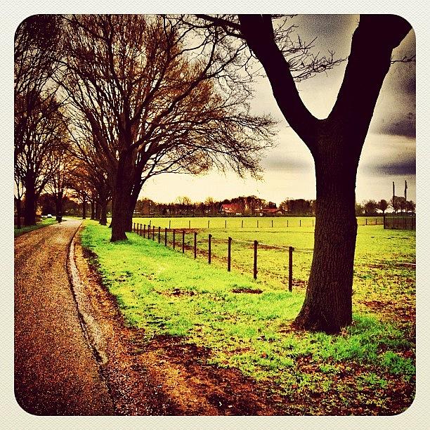 Instagram Photograph - A View At My Neighborhood by Wilbert Claessens