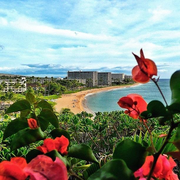 Beach Photograph - A View Of Sheraton Maui Beach Resort by Raffaele Salera