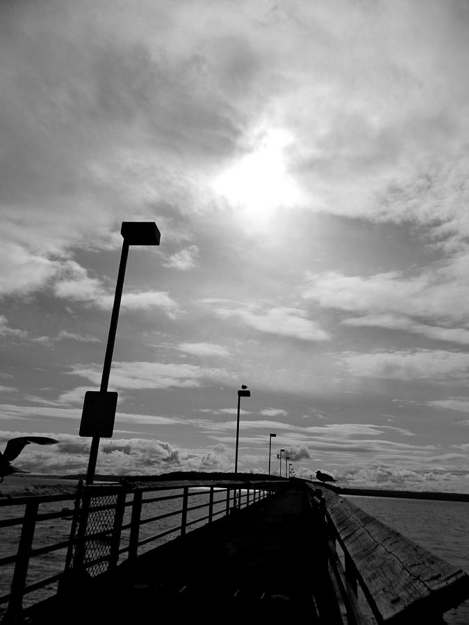 A View South Sound - The Pier Photograph