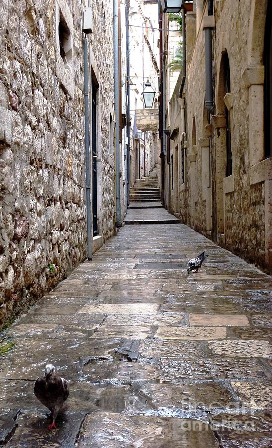 A walk in Dubrovnik Photograph by Amalia Suruceanu