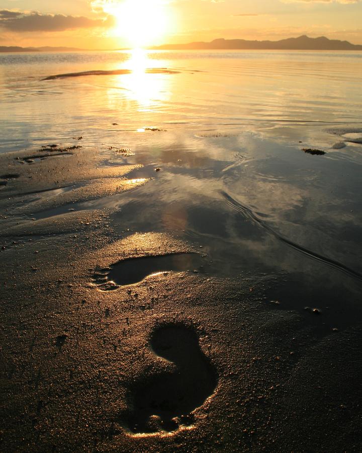 Sand Photograph - A Walk In The Sand by Gene Praag Sand Photograph - A Walk In The Sand by Gene Praag